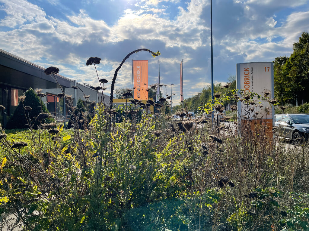 Wildstaudenbeete vor dem Firmengebäude mit orangefarbenen Schildern und Fahnen von Schulz Dobrick bei Sonnenschein.