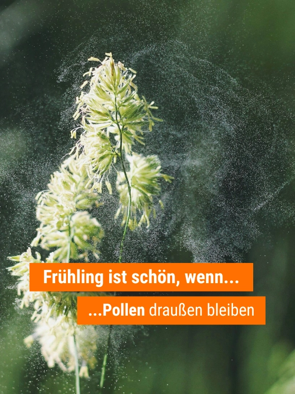 Ganz viele Blütenpollen fliegen um eine Blüte umher. Im Vordergrund steht in Orange "Frühling ist schön, wenn Pollen draußen bleiben".