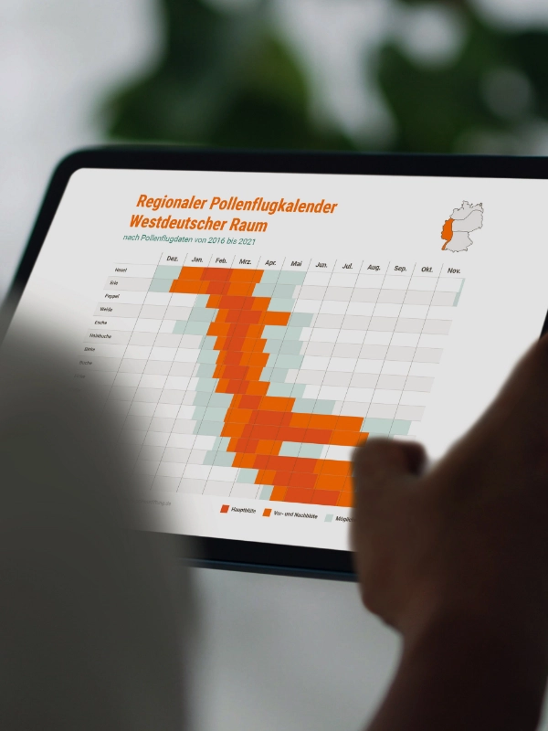 Person betrachtet einen regionalen Pollenflugkalender für den westdeutschen Raum auf einem Tablet.